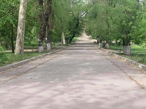 В Одессе наведут порядок в Дюковском саду