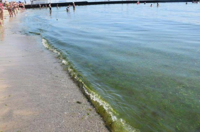 На одесских пляжах вода не соответствует санитарным нормам