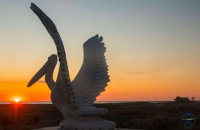 На юге Одесской области установили статую пеликана