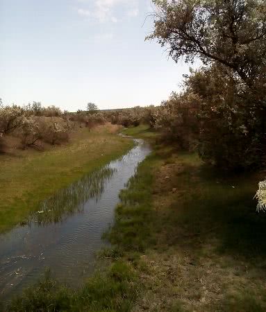 В местных реках Арциза наблюдается низкий уровень воды (фотофакт)