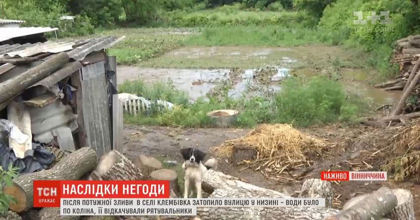 У Одеській та Вінницькій областях злива затопила двори й будинки