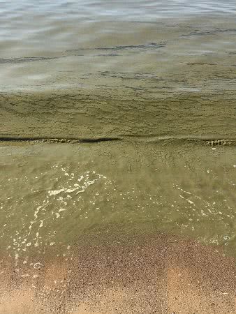 На одеському курорті Фонтанка зафільмували надзвичайно брудну воду: фото та відео