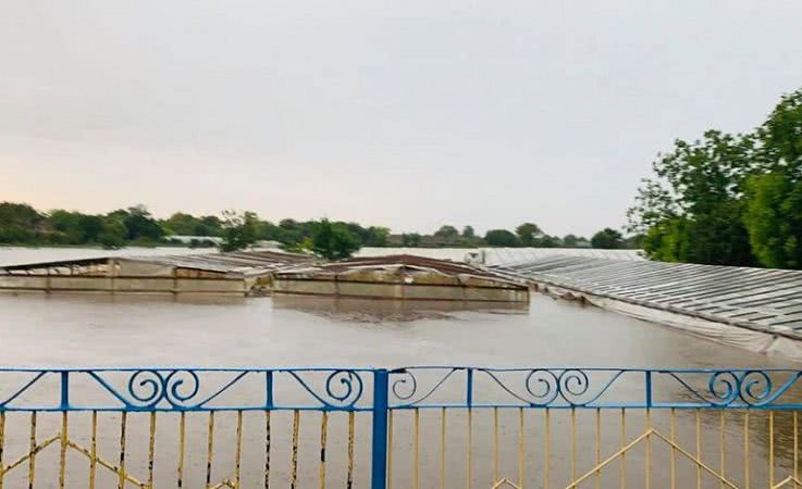На юге Одесской области ураганный ветер и ливневый дождь порвали ЛЭП и смывали урожай (фото, видео)