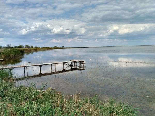 Озеро Сасык в Одесской области нельзя соединять с морем: водоём погибнет — эколог