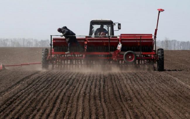 В Одесской области фермеры призывают власть компенсировать убытки в связи с засухой