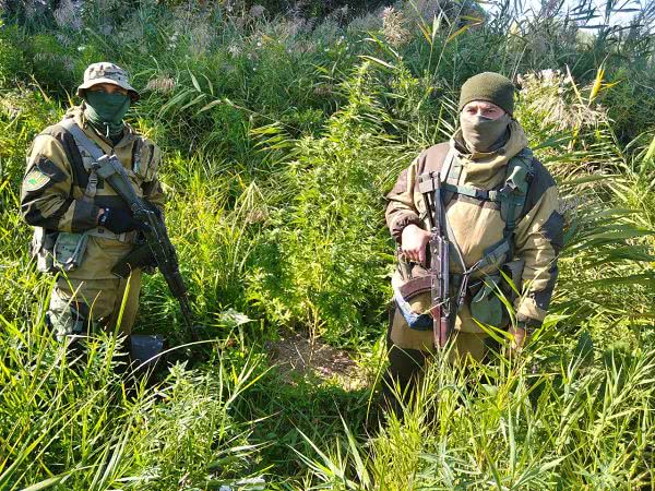 Житель Одесской области превратил остров посреди Дуная в небольшую наркоплантацию