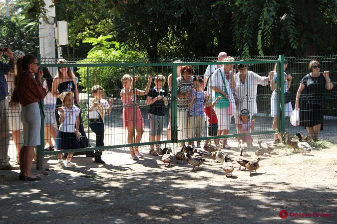 «Веселые уроки»: в одесском зоопарке устроили праздник для школьников (фото, видео)