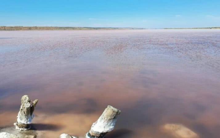Екологи спрогнозували зникнення курорту Куяльник на Одещині (Фото)