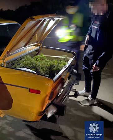 Из-за нарушения ПДД на поселке Котовского остановили авто с полным багажником конопли (фото)