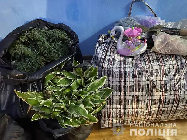 В Южном поймали мужчину и женщину, которые выкапывали растения в парках и скверах