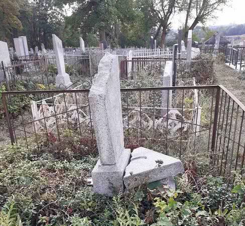 Горсовет Подольска уже полгода игнорирует поврежденные деревом надгробия на еврейском кладбище