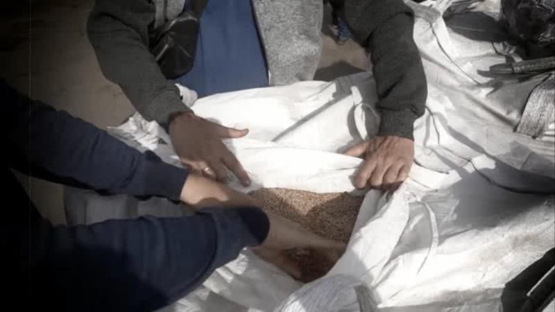 Пока власть обещает помочь: аграриям Килийского района подарили 125 тонн зерна на посевную