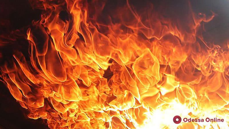 В Одесской области во время тушения пожара в доме нашли труп его хозяина