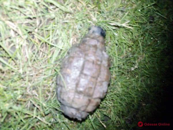 Опасные игры: в Одесской области пограничник отобрал у детей гранату