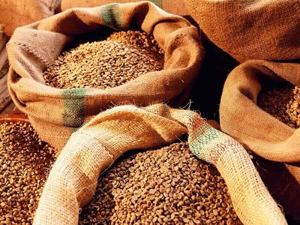 На Одещині СБУ викрила схему ухилення від сплати податків під час експорту зерна на мільйони гривень