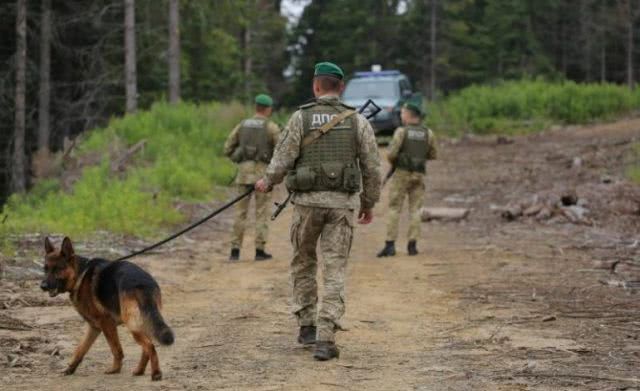 В Одесской области на пограничников напал хищный зверь