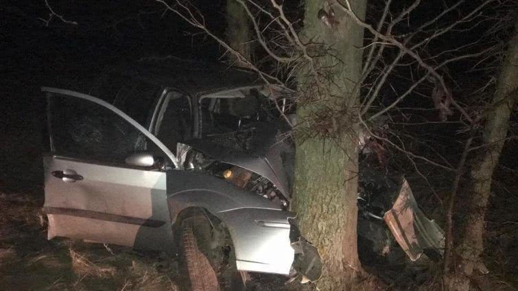 В Саратском районе легковушка врезалась в дерево: один погиб, трое – в больнице (фото)