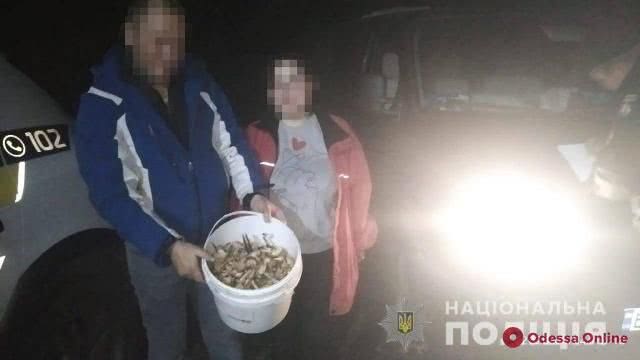 В Одесской области полицейские спасли заблудившихся грибников