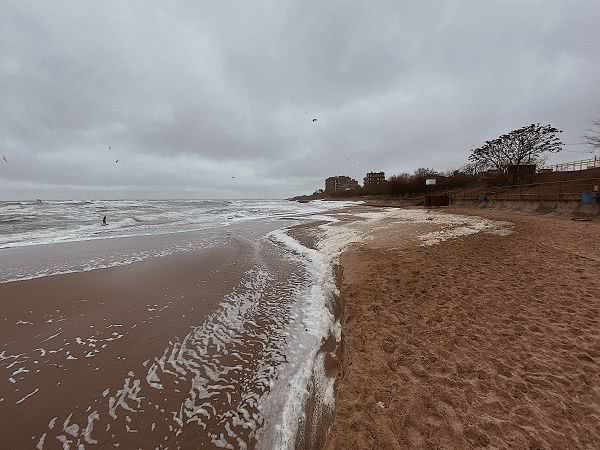 Шторм, чайки, пена: декабрьское море в Черноморске (фоторепортаж)