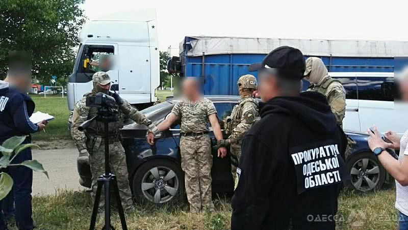 За беспрепятственный отпуск древесины лесник в Одесской области предстанет перед судом (фоторепортаж)