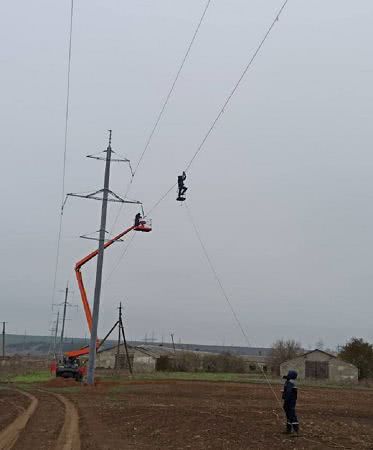 Одесская область: на электросетях устанавливают специальные маркеры для спасения птиц