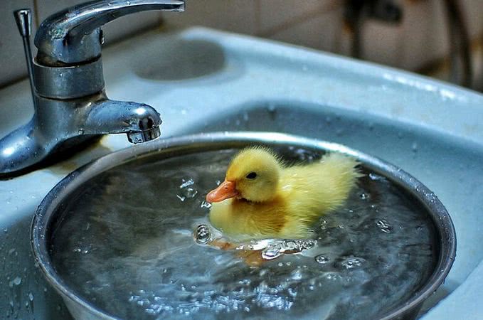 Плановое отключение воды 11 декабря в Черноморске