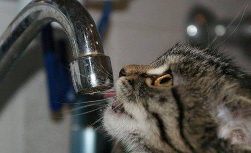 9 декабря часть поселка Котовского останется без воды
