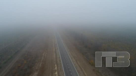 Вниманию водителей: в Одессе и области из-за густого тумана объявлено штормовое предупреждение