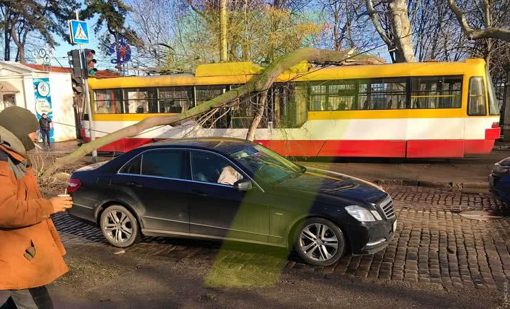 В Одессе из-за сильного ветра деревья попадали на несколько движущихся трамваев: фото