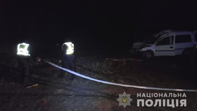 Смертельна ДТП в Одеській області — автомобіль зіткнувся з конем: тварина та водій загинули