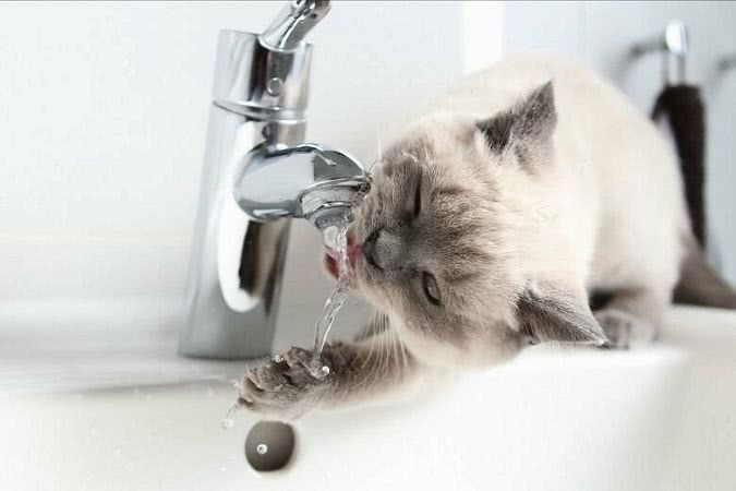 Плановое отключение воды 16 декабря в Черноморске