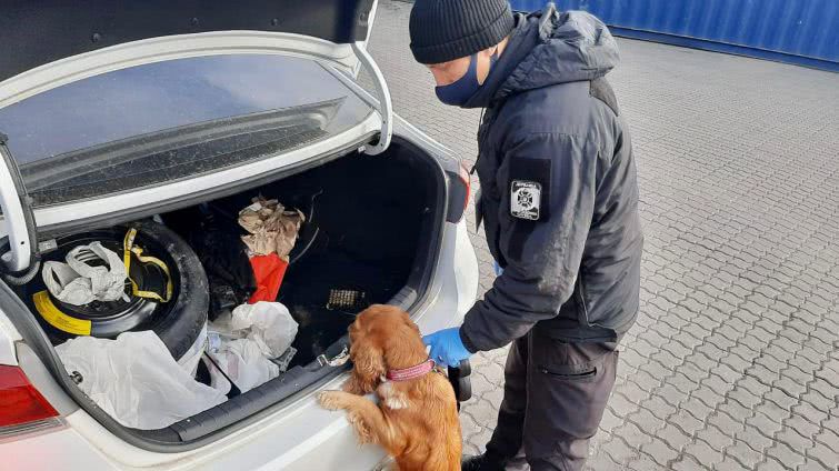 В Одесском порту собака пограничников нашла патроны: их везли из США (фото и видео)