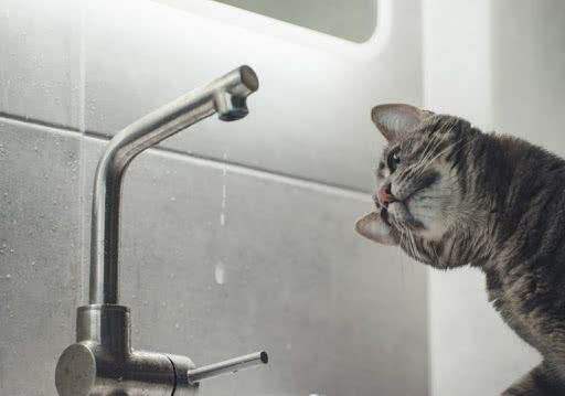 4 января некоторые одесситы останутся без воды: найдите свой адрес