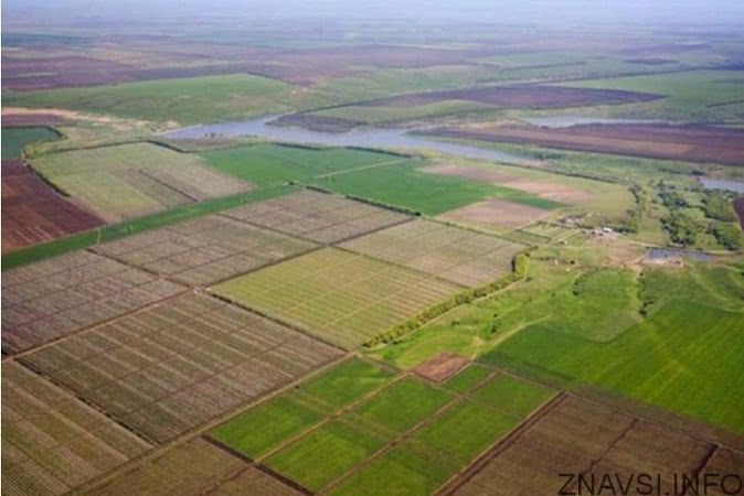 Больше миллиона гектаров сельхозземель Одесской области находятся в «тени»