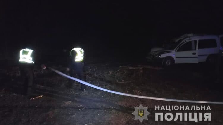 В Одесской области из-за лошади произошло смертельное ДТП. Фото