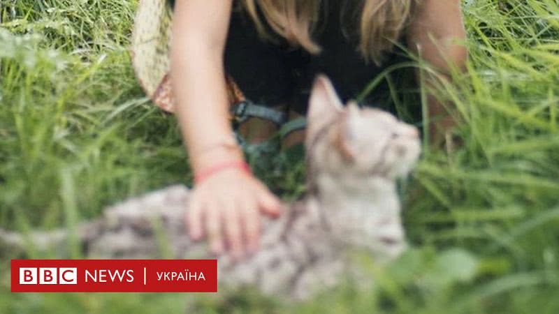 В Одесі першокласниця «замінувала» школу — хотіла додому до кота