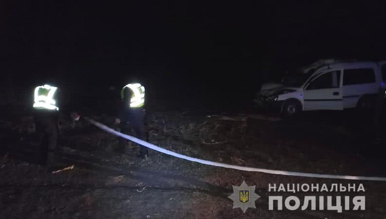 В Одесской области водитель легковушки насмерть сбил лошадь и погиб сам: фото