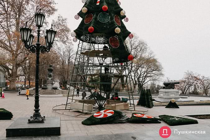 Возле мэрии начали устанавливать главную елку Одессы: как это происходит. Фото