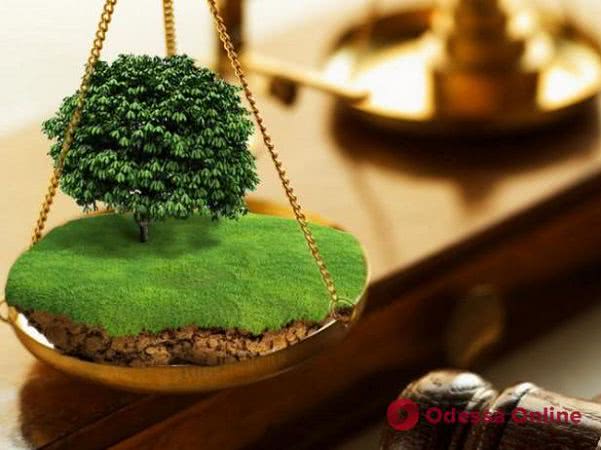 Суд вернул учебному заведению в Одесской области 40 гектаров земли