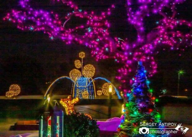 В Южном создали новогоднюю вечернюю магию (фоторепортаж)
