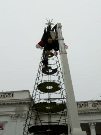 У здания мэрии Одессы продолжают устанавливать главную новогоднюю ёлку