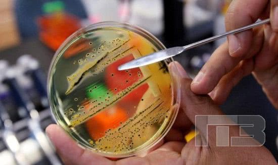 Воспитанники одного из детсадов Черноморска заразились сальмонеллезом