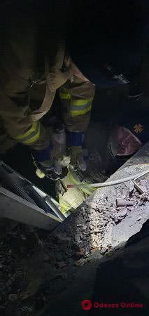 В Одесской области сотрудники ГСЧС спасли трех щенков