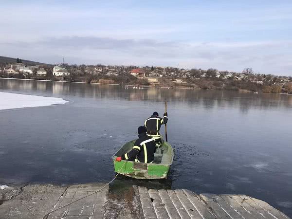 В Одесской области спасли лебедей, которые оказались на замерзшем пруду. Фото
