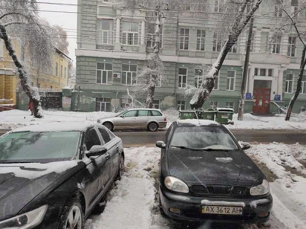 В Одессе упало почти полтысячи деревьев. На улицы города вывели военных (фоторепортаж)