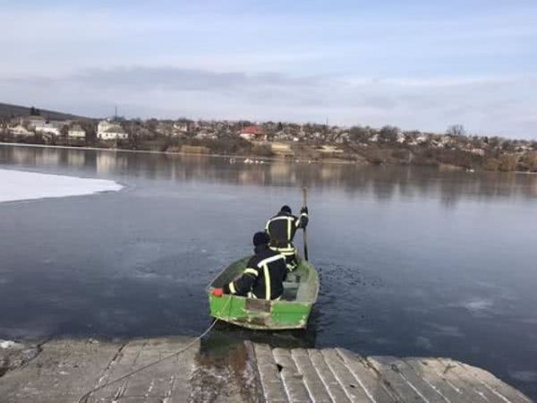 В Одесской области спасали лебедей