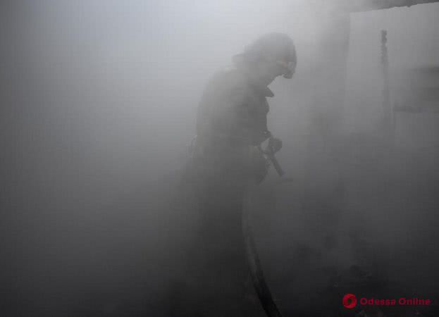 В Овидиопольском районе при попытке самостоятельно потушить пожар пострадал мужчина