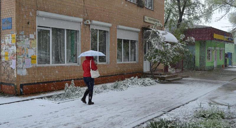 Самыми осторожными оказались власти Арцизской громады: школы и детсады закрыли в ожидании снегопада
