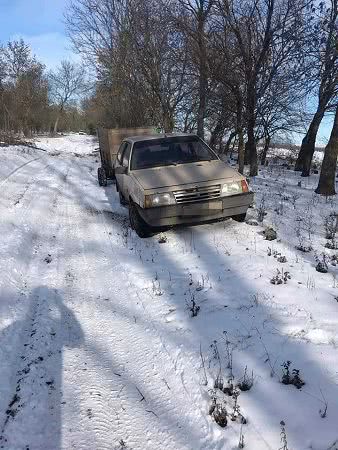 В Одесской области сгорел автомобиль браконьеров, рубивших лес. Фото
