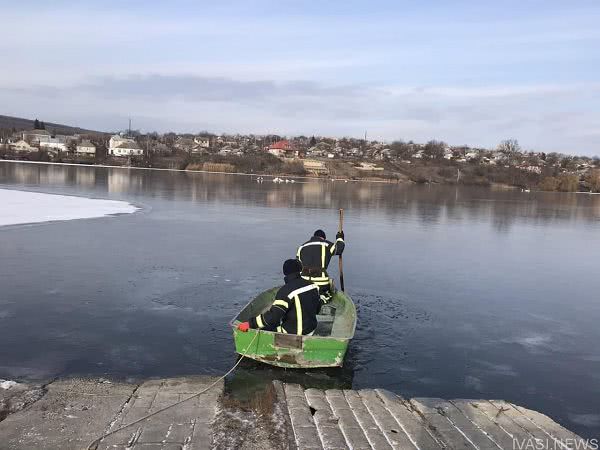 В Одесской области из ледяной ловушки спасли стаю лебедей